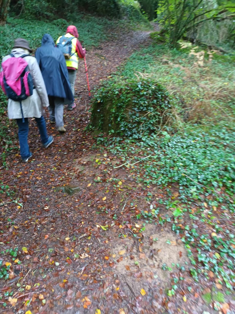 Balade en aller-retour au départ de Questembert - Questembert