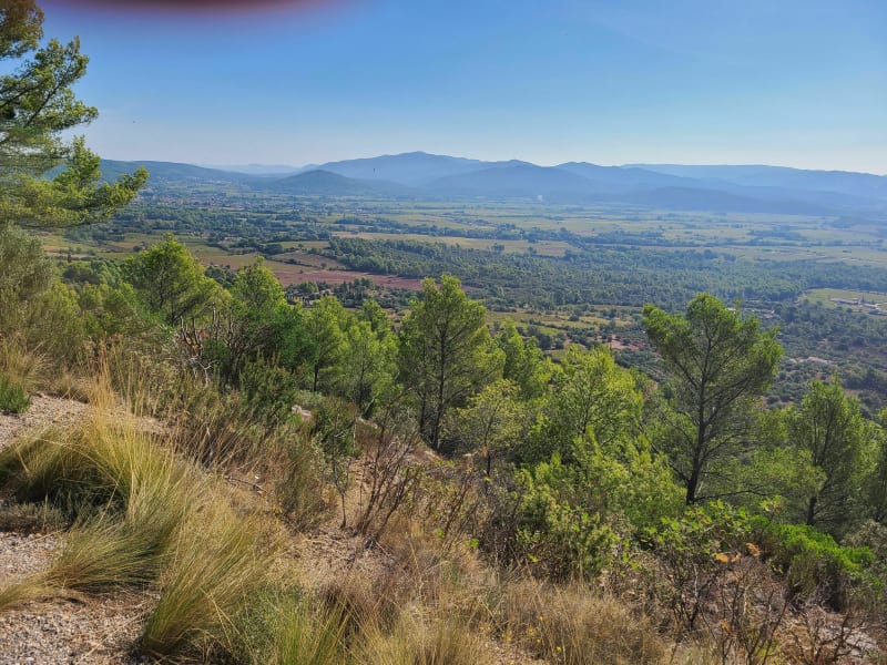 Balade sur les hauteurs de Cuers et Puget - La Garde