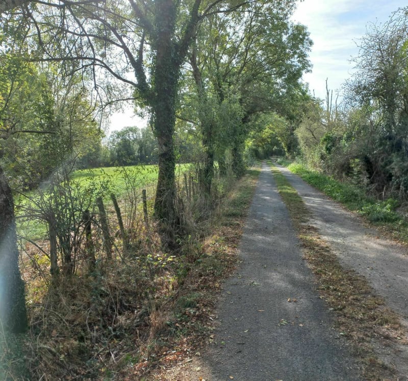 De Remouillé à Cugand - Remouillé