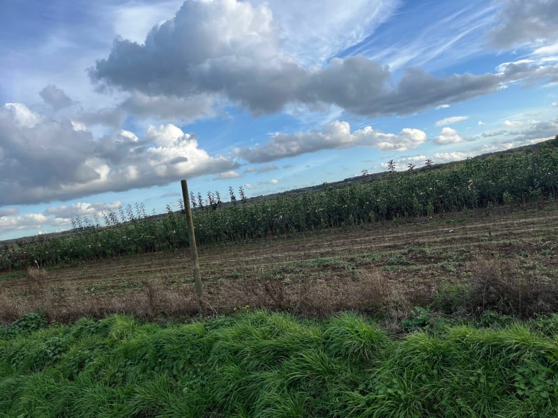 Balade automnale entre l’Aisne et l’Oise - Crépy-en-Valois