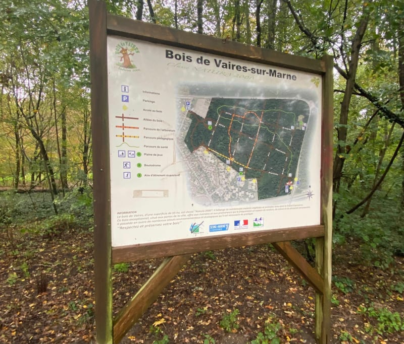 Promenade en forêt de Vaires-sur-Marne - Vaires-sur-Marne