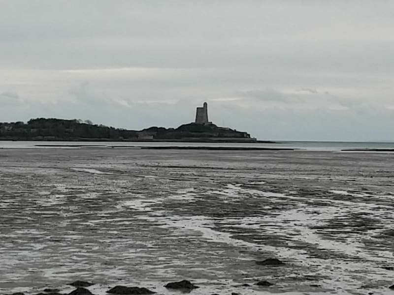 Du Cul de Loup à Saint-Vaast - Quettehou