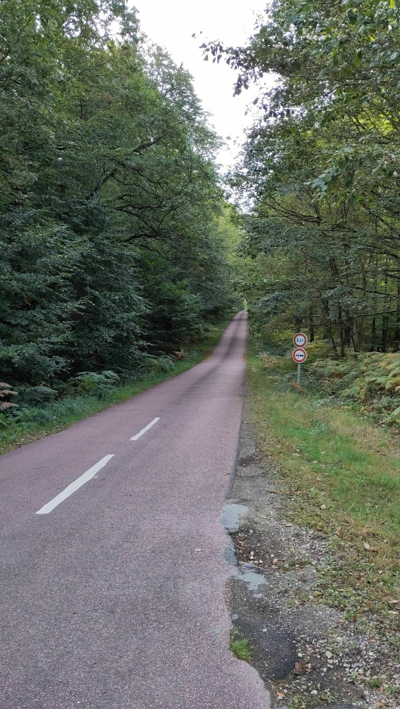 Boucle de 50km vers la forêt de Bercé à partir de Parigné - Parigné-l'Évêque