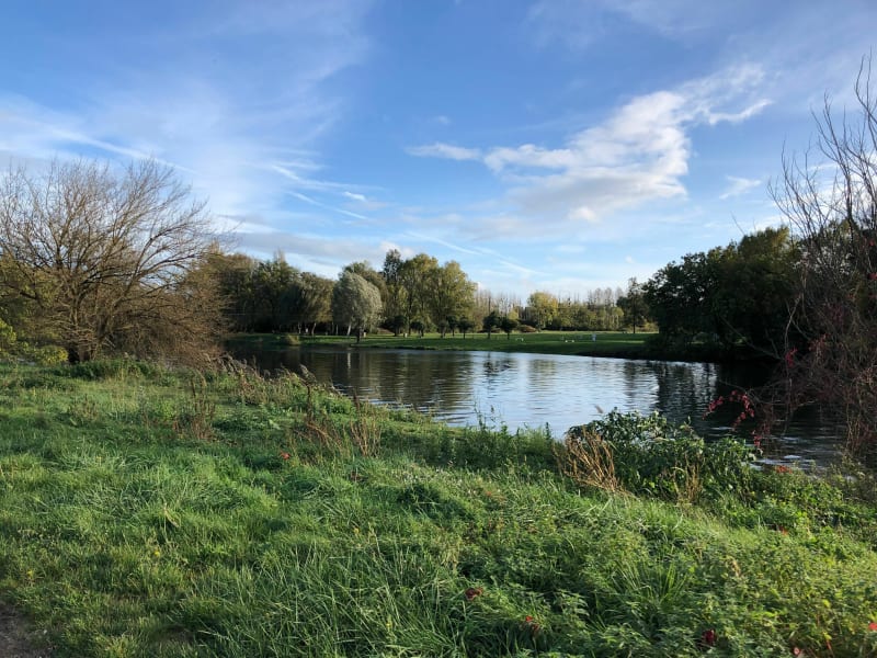 Des rives du Cher aux vignes de Civray de Touraine - Francueil
