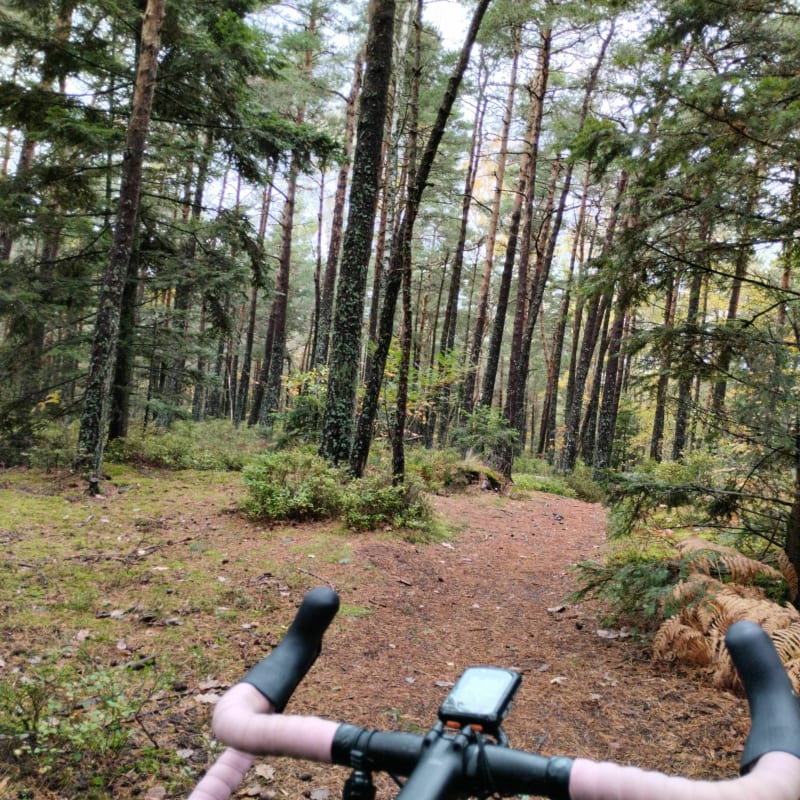 Mix route / Gravel au Saint Odile - Ottrott