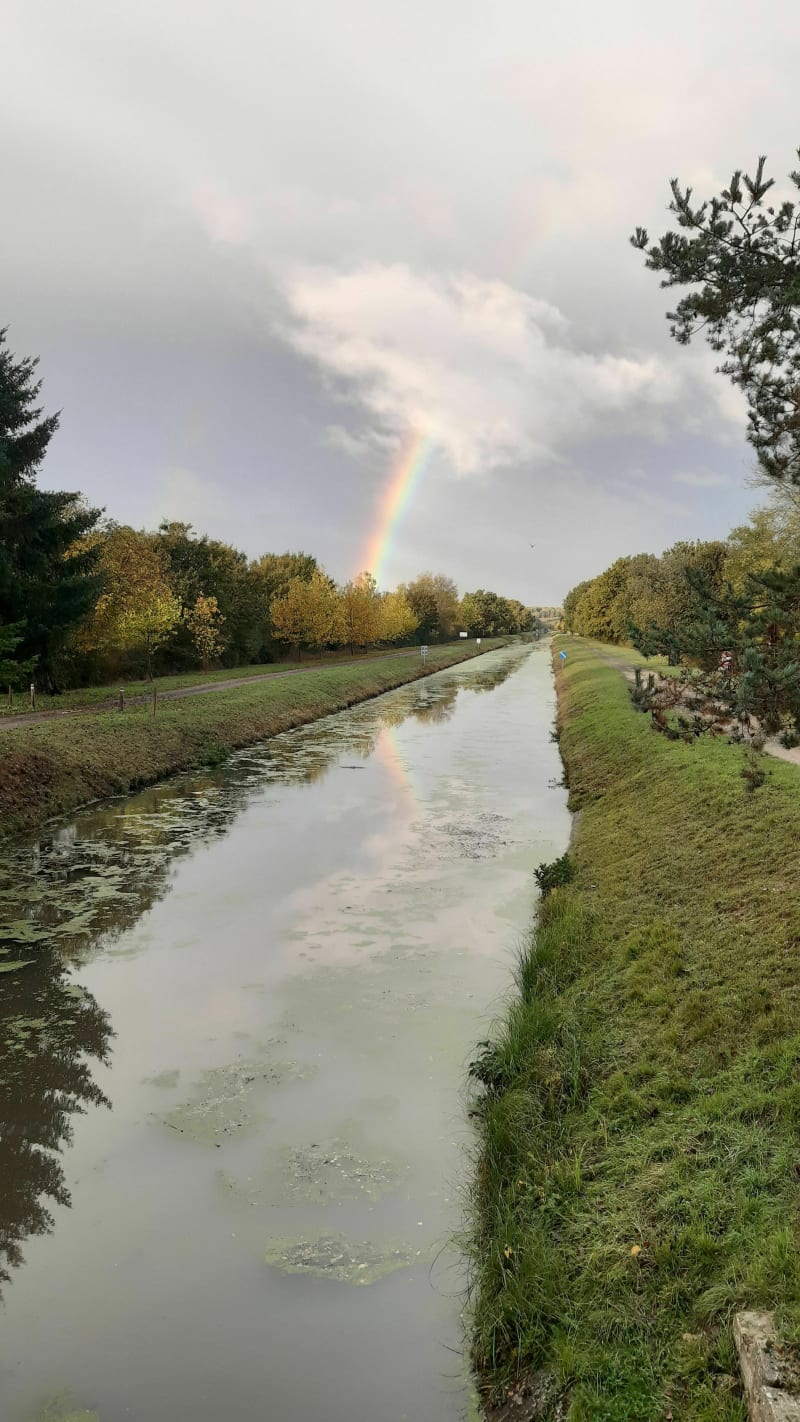 Petite boucle Cercy et alentours - Cercy-la-Tour