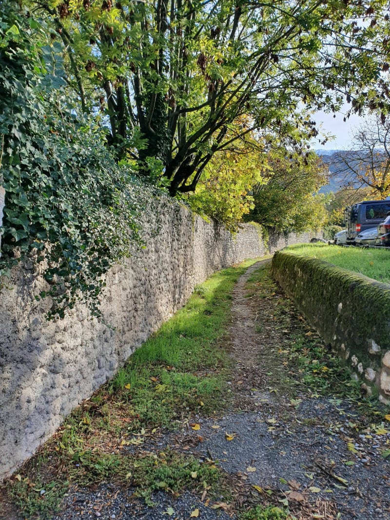 Die à Chamaloc par Romeyer à VTT - Die
