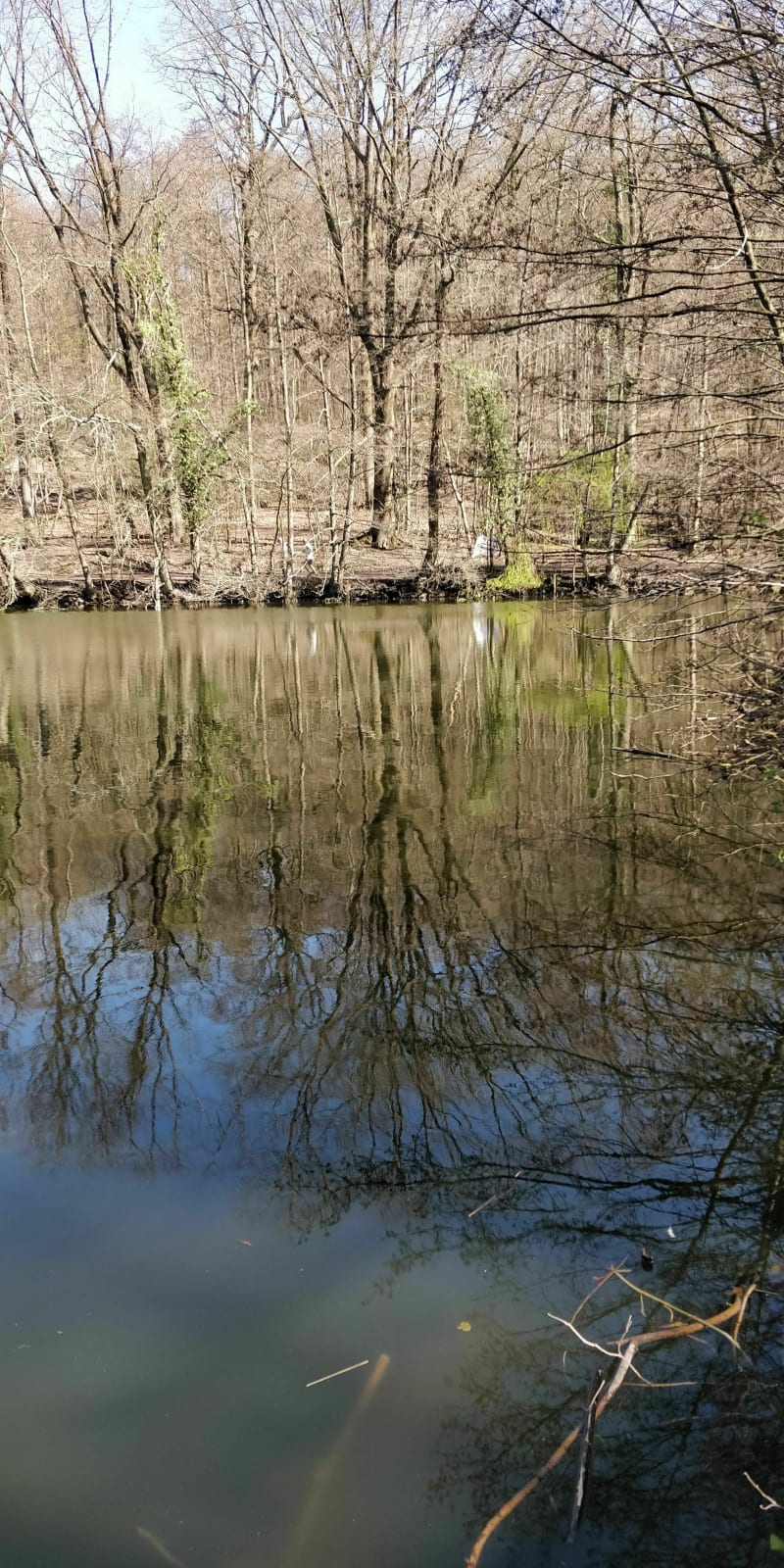 Boucle depuis bords de seine, de Rueil-Malmaison par les 3 bois à vélo - Rueil-Malmaison