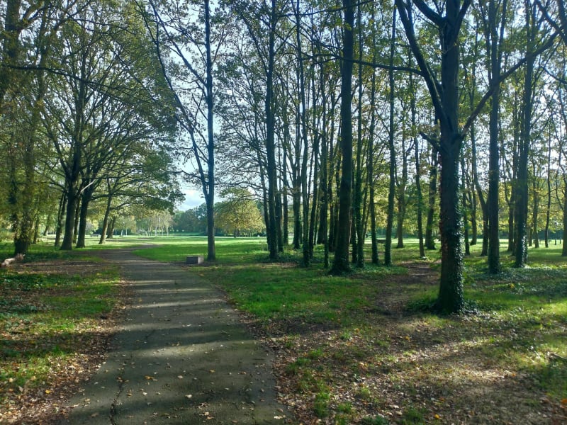 Petite promenade dans les bois à proximité de Taverny - Beauchamp