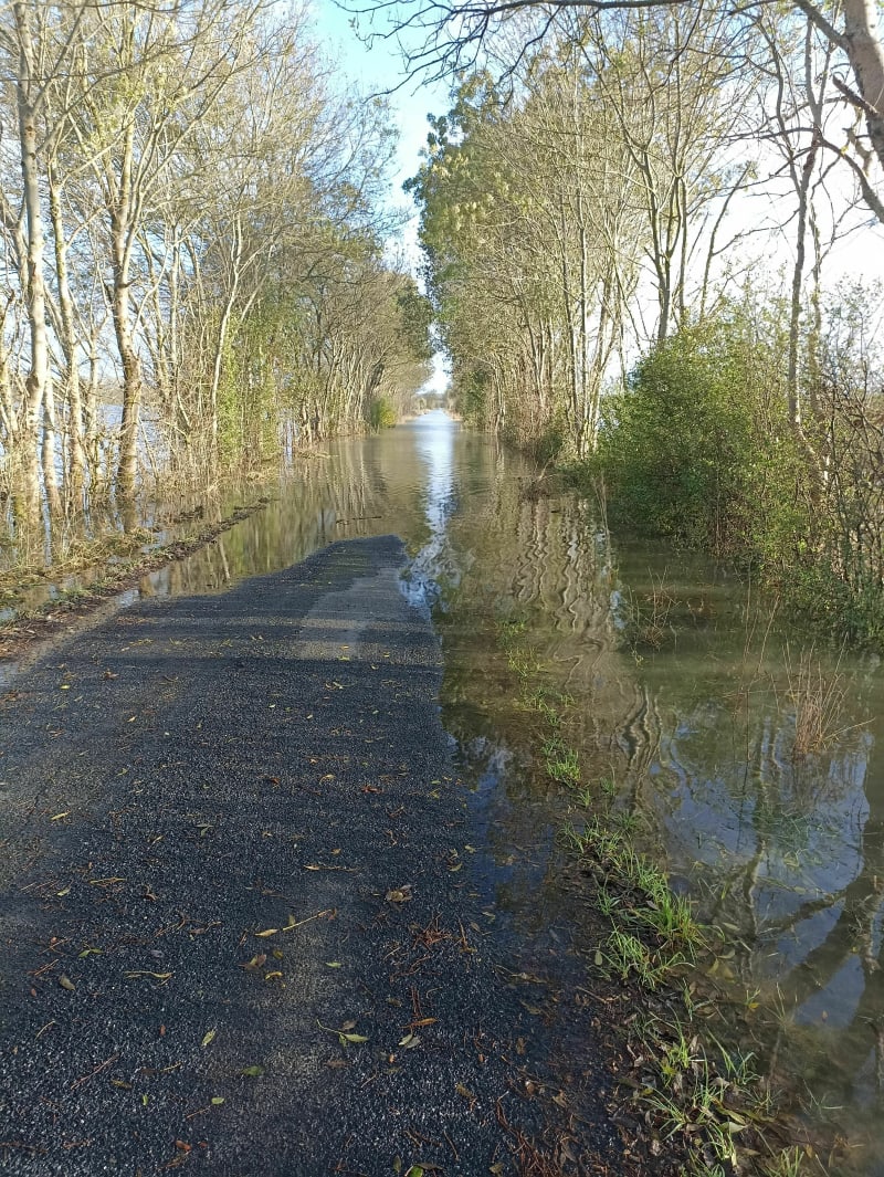 Entre marais et la villede Couëron - Couëron