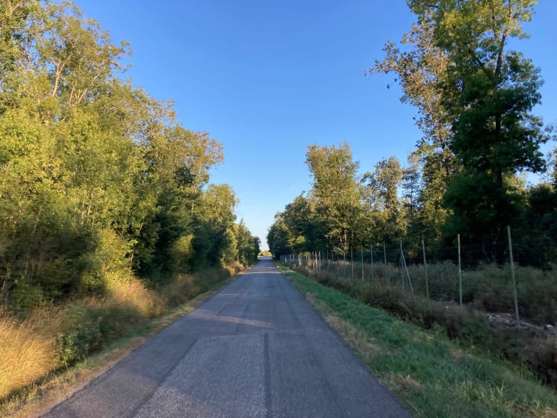 Circuit de 3O kms au Sud, par le Zoo de Plaisance-du-Touch - Léguevin