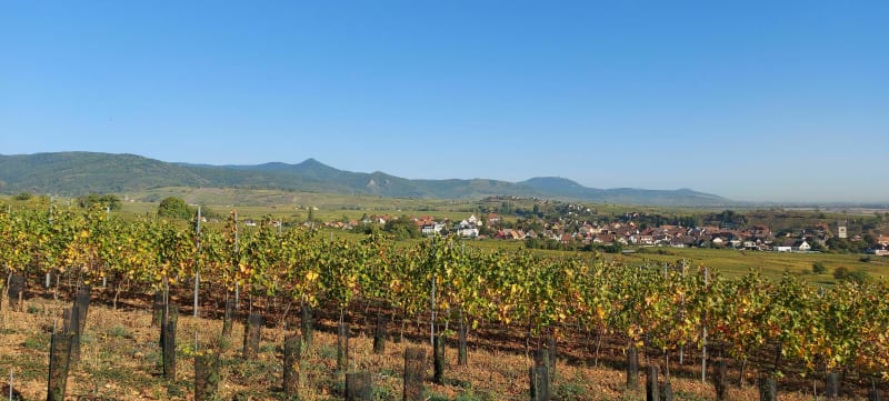 Vallée de Munster en partant de Orbey - Orbey