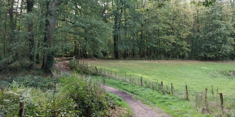 D'Évreux à Gauville par champs et forêts - Évreux