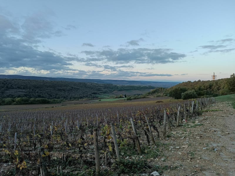 VTT entre Chagny et Bouzeron - Chagny
