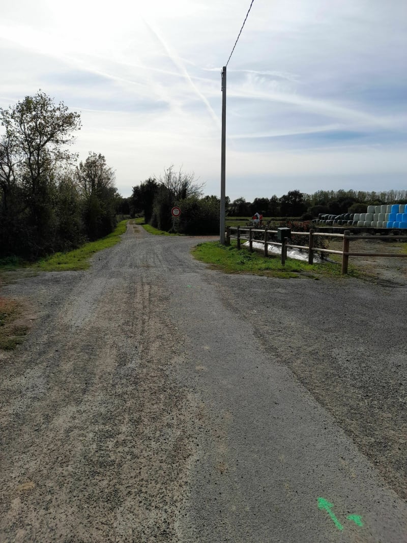 La  Boutine , petite balade au milieu des champs et bosquets - La Garnache