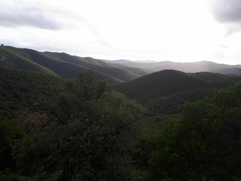 Du massif des Maures à la mer et Port Maravenne à VTT - Pierrefeu-du-Var