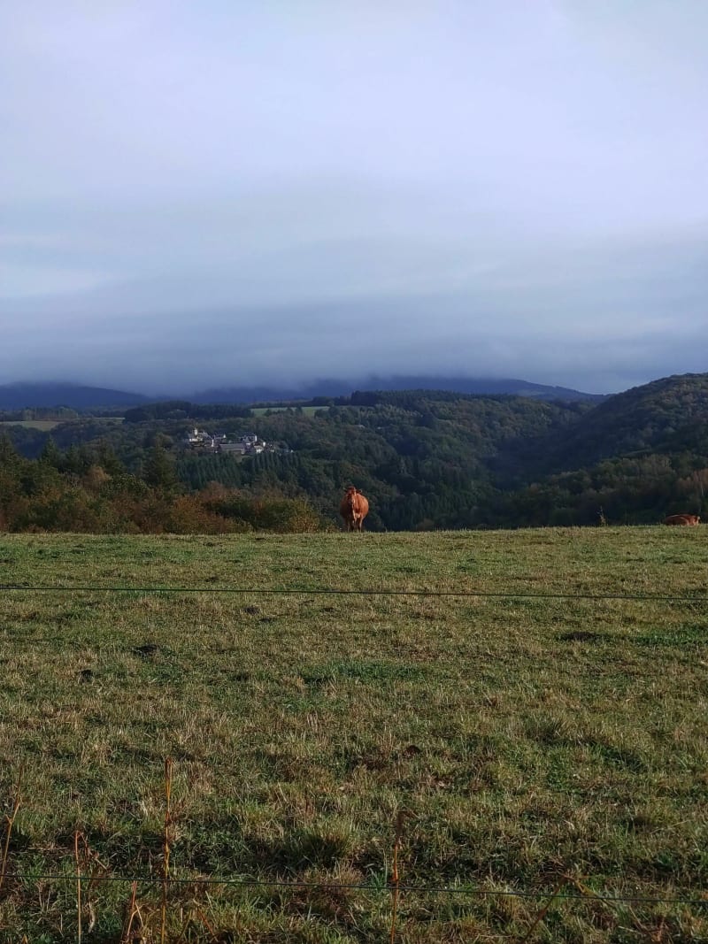 Sur les traces du camps des Maquis au Domaine Des Monedieres - Orliac-de-Bar