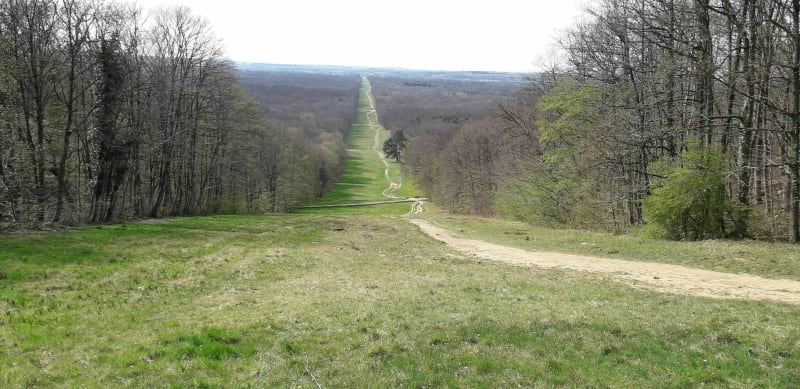Montée aux Beaux-Monts et retour à Lacroix par la forêt de Compiègne, entre Oise et Forêt - La Croix-Saint-Ouen
