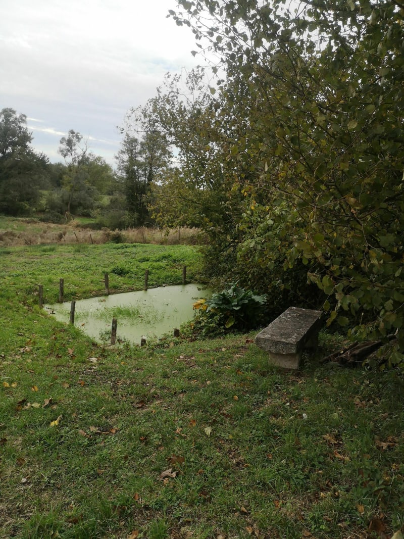 Du Canal au Lavoir - Bourg-en-Bresse