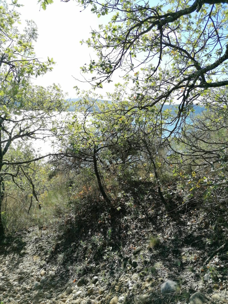 Sainte-Croix-du-Verdon, balade familiale sur les hauteur du Lac - Sainte-Croix-du-Verdon