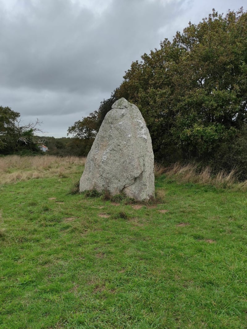 Entre océan et menhirs aux Rochelets à Saint-Brévin-les-Pins - Saint-Brevin-les-Pins