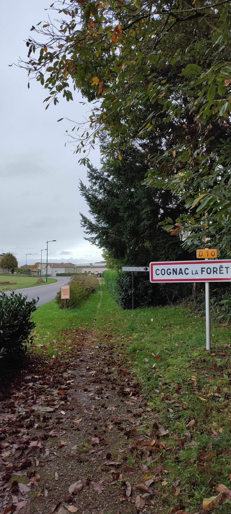 Variante boucle du lac de Cognac-la-Forêt par St Auvent - Cognac-la-Forêt