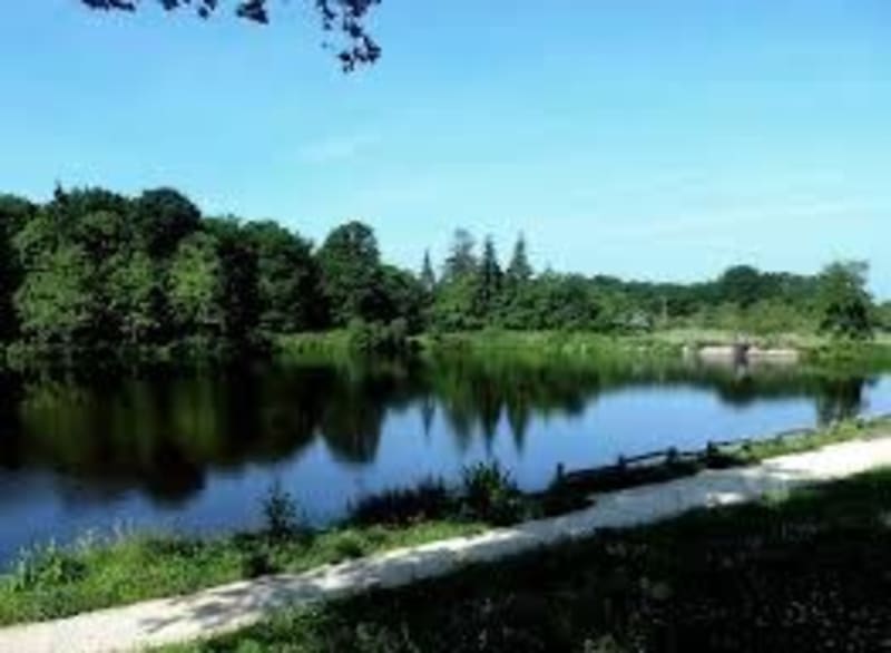 Autour de La Ferrière - La Ferrière