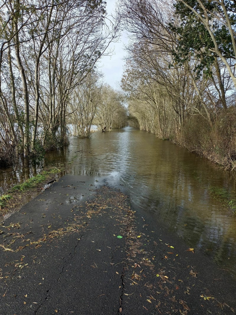 Couëron - Saint-Etienne-de-Montluc par l'Etang Bernard - Saint-Étienne-de-Montluc