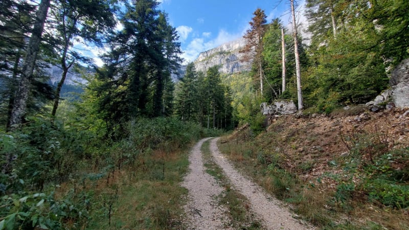 L'éboulis de la route de Montaud - Noyarey