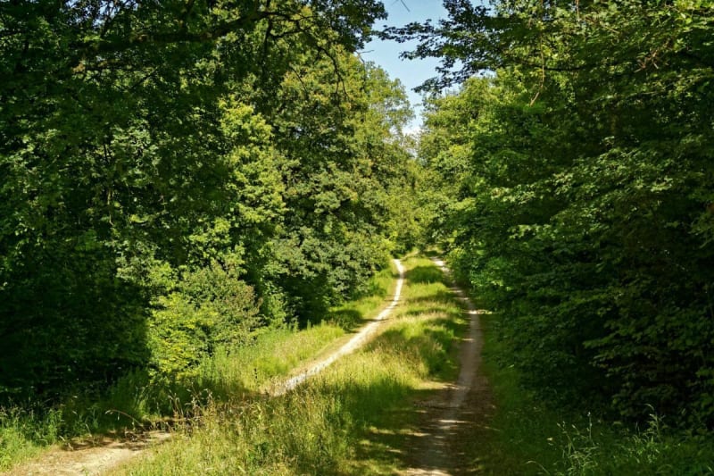 Promenade variée route et chemin autour de la Dhuis - Livry-Gargan