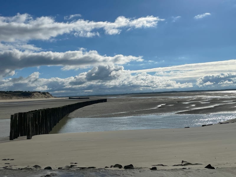 Rando le long de la baie au départ de Berck - Berck