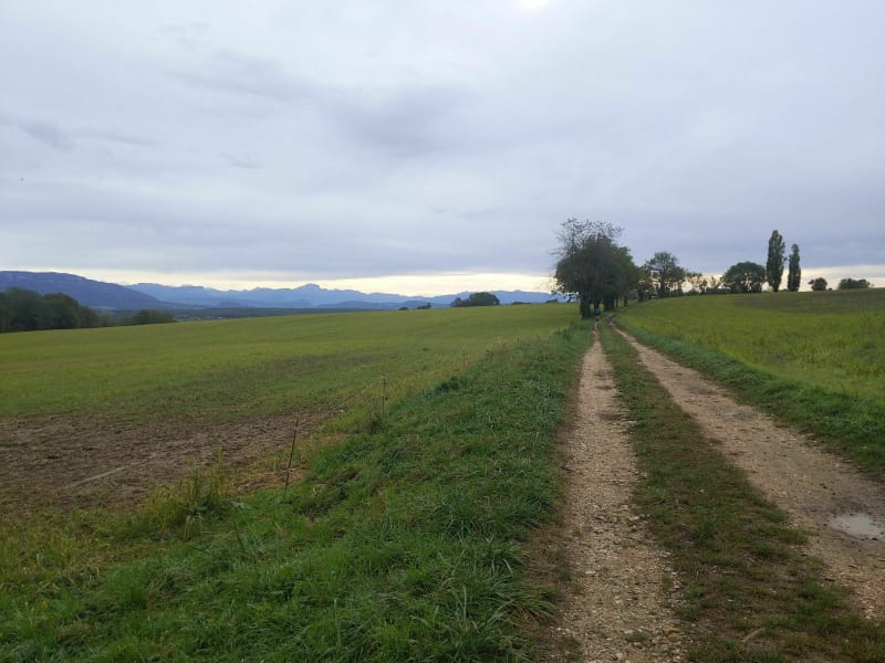 Autour de Vouvray, entre combe de Vaux et Pont Romain - Valserhône