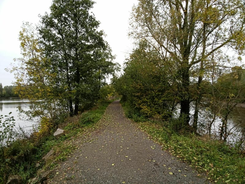 Autour du bois de Changé - Le Mans