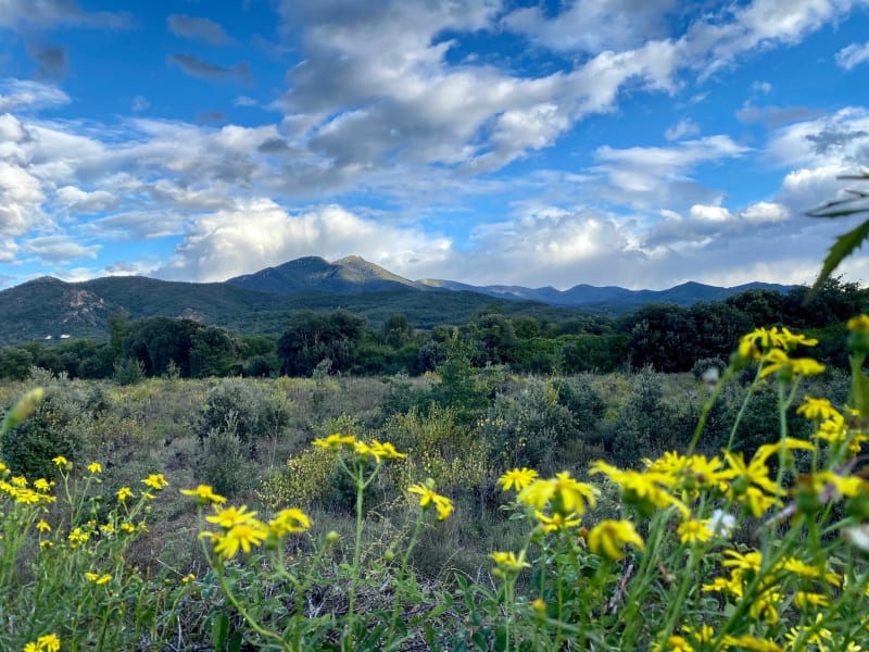 Aller-retour bucolique du Boulou à Maureillas - Le Boulou