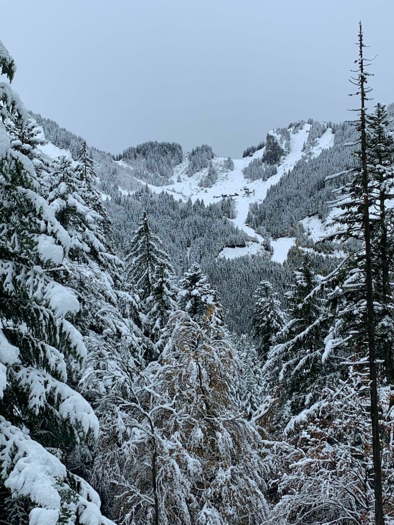 Balade sur le plateau de la Grande Terche - Saint-Jean-d'Aulps