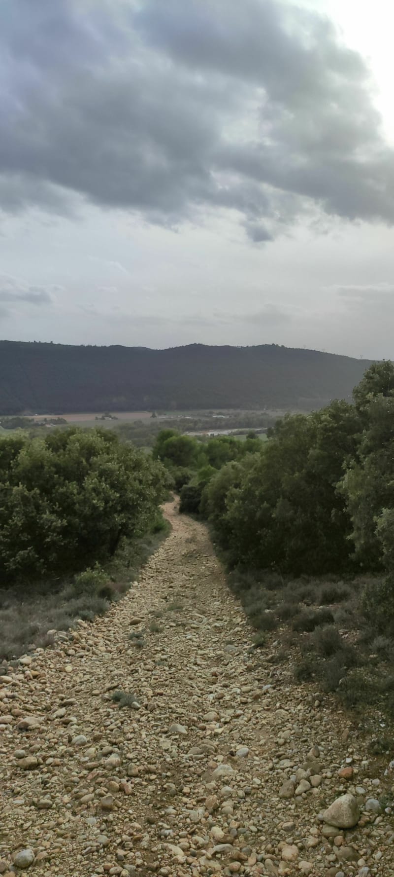 Balade au relais par les Hauts du Vésie et par la chapelle de St-Pancrace - Oraison