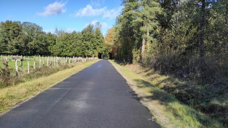 Boucle au départ de Parigné vers l'étang de Loudon - Parigné-l'Évêque