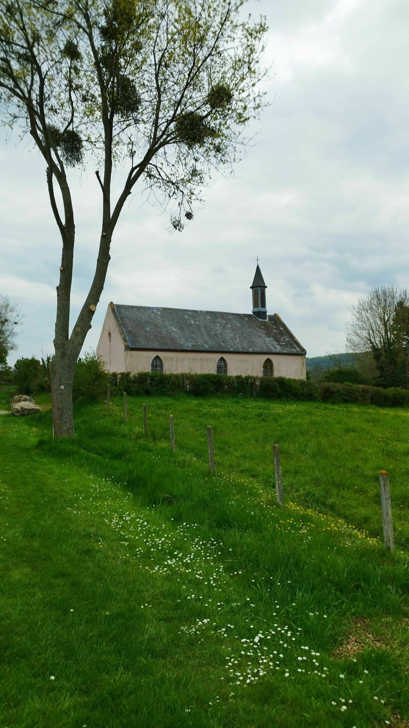 Étangs de Bouvaincourt - Oust-Marest