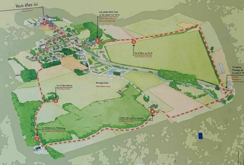 La ronde des arbres à Bauné - Loire-Authion