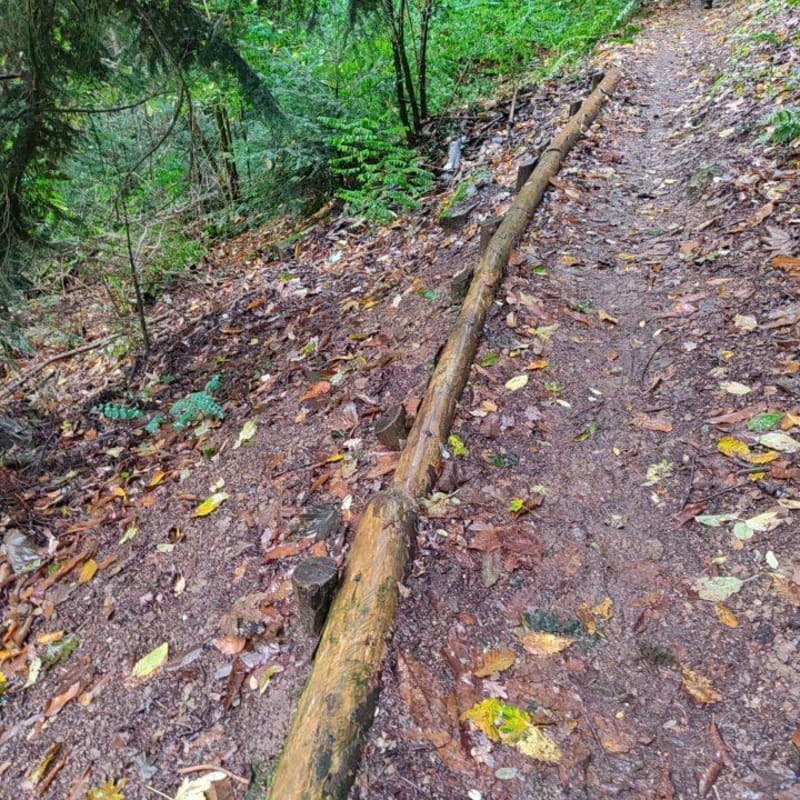 Rando à pied à Leimbach, parcours vita - Thann
