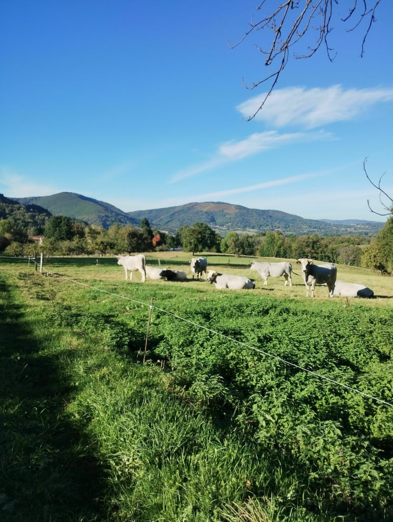 VTT en Barguillère, par St-Pierre de Rivère, Brassac et Burges - Serres-sur-Arget