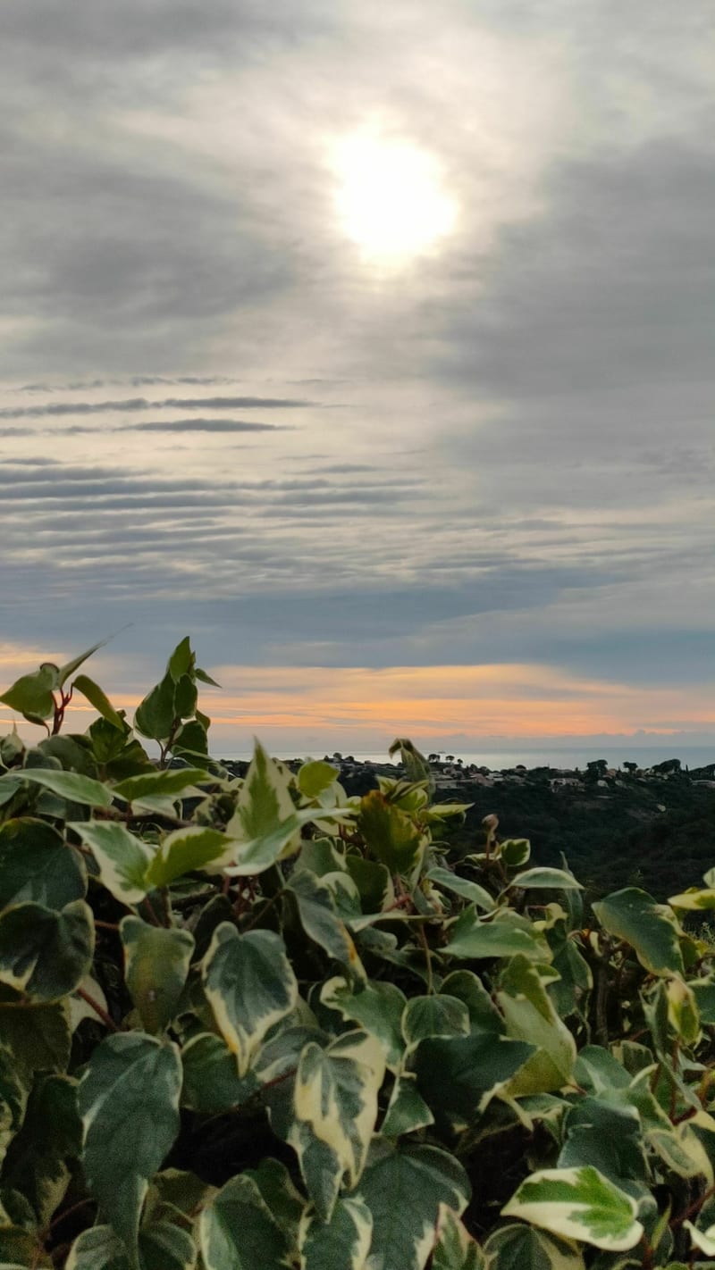 Cagnes / Vence / St-Jeannet / La Gaude / Cagnes - Cagnes-sur-Mer