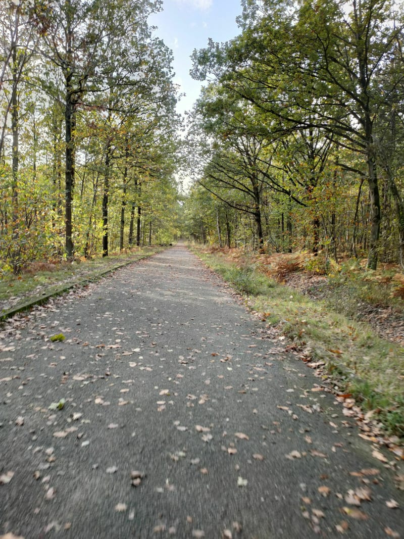 Balade en forêt de Verrières - Le Plessis-Robinson