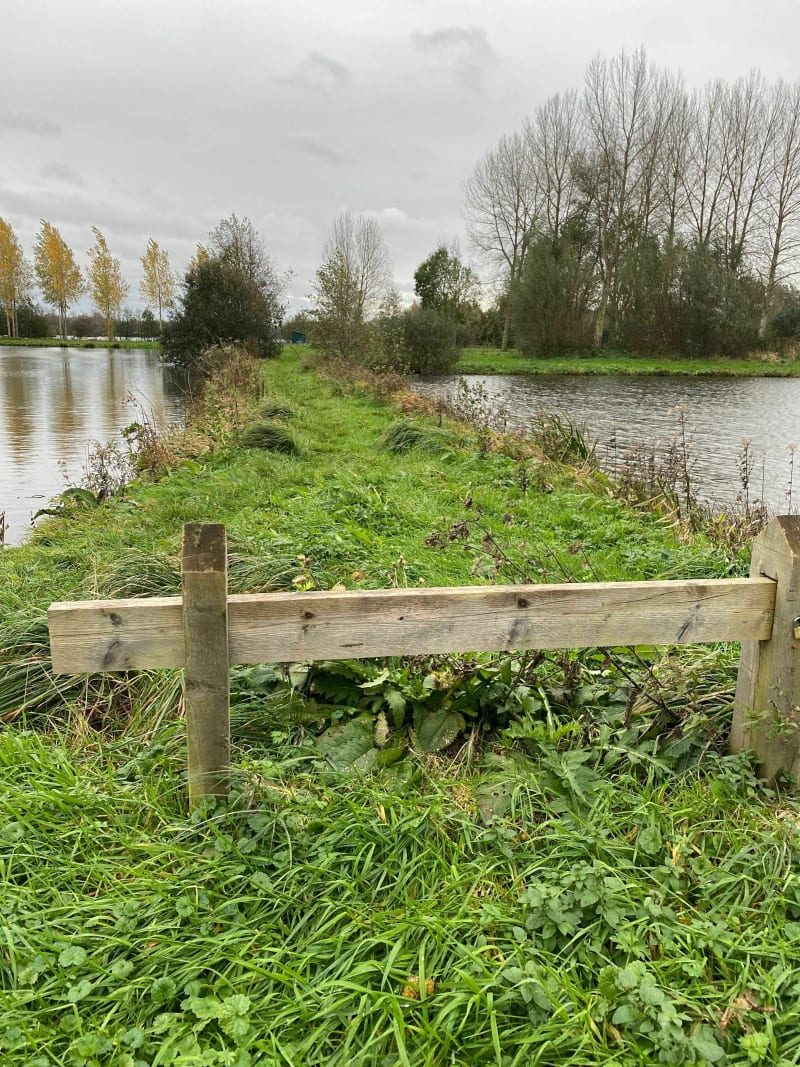 Balade dans les marais de Condé Folie - Condé-Folie