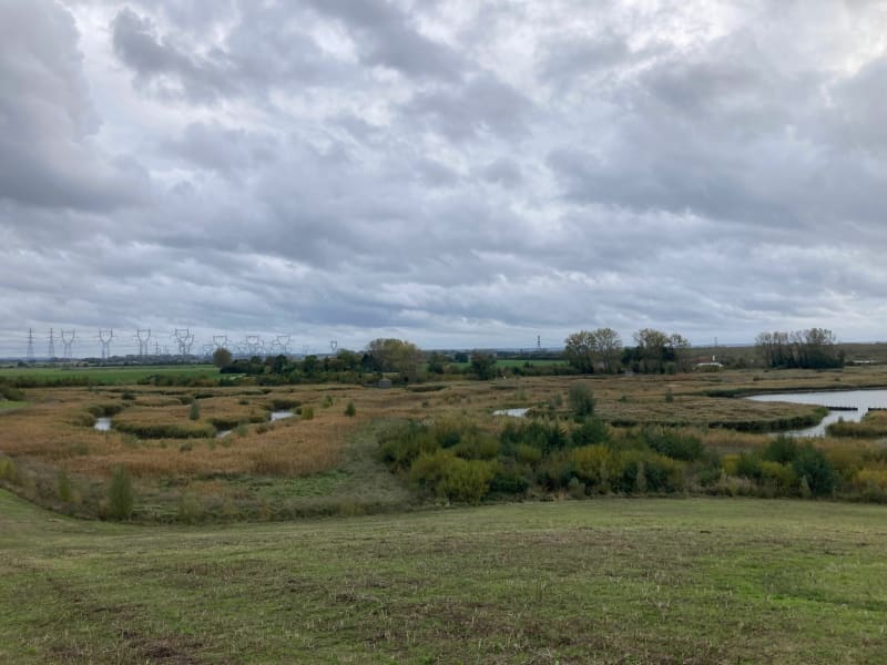 Balade en famille autour du PAarc de Gravelines - Gravelines