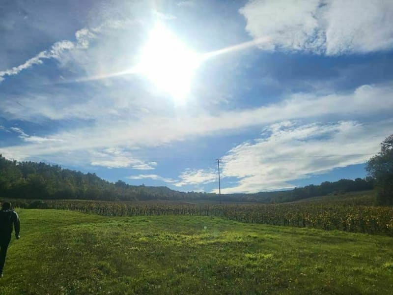 Vignes et forêts par Mellecey - Mellecey