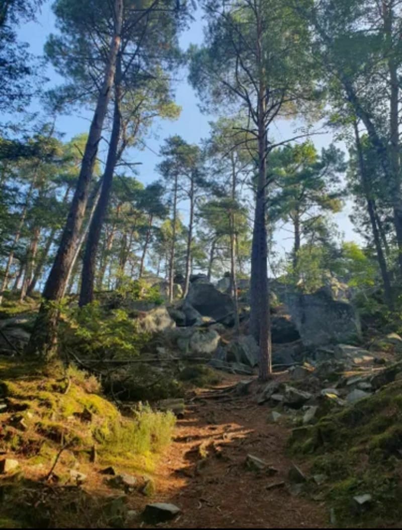 La malmontagne 2023 - Moret-Loing-et-Orvanne