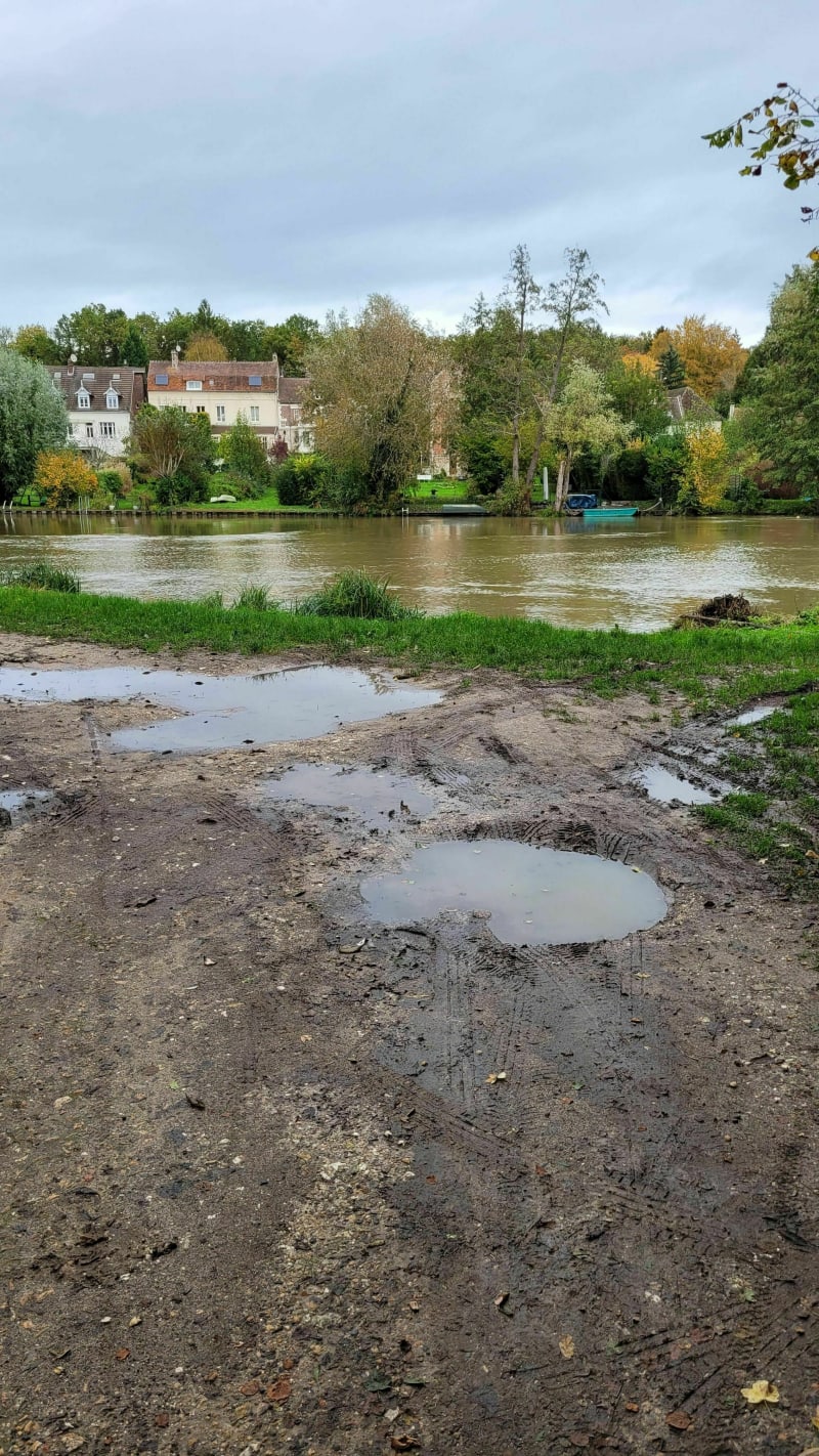 Balade forêt entre l'Oise et étangs! - Margny-lès-Compiègne