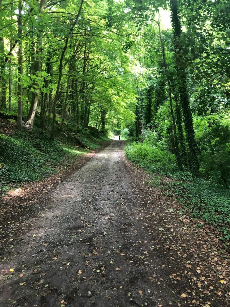 De Cagny au Bois Magneux, par l'Etang de Saint-Ladre - Cagny