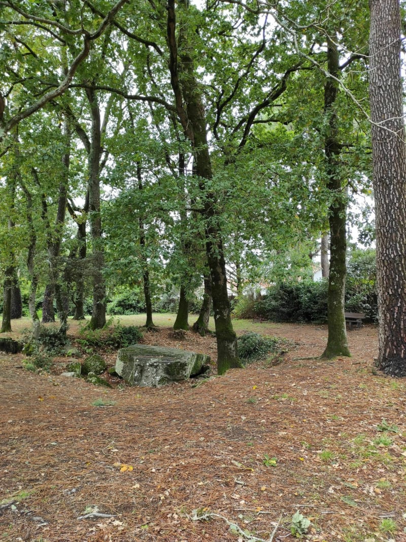 Entre Dolmen et l'océan à Saint Brévin l'Océan - Saint-Brevin-les-Pins